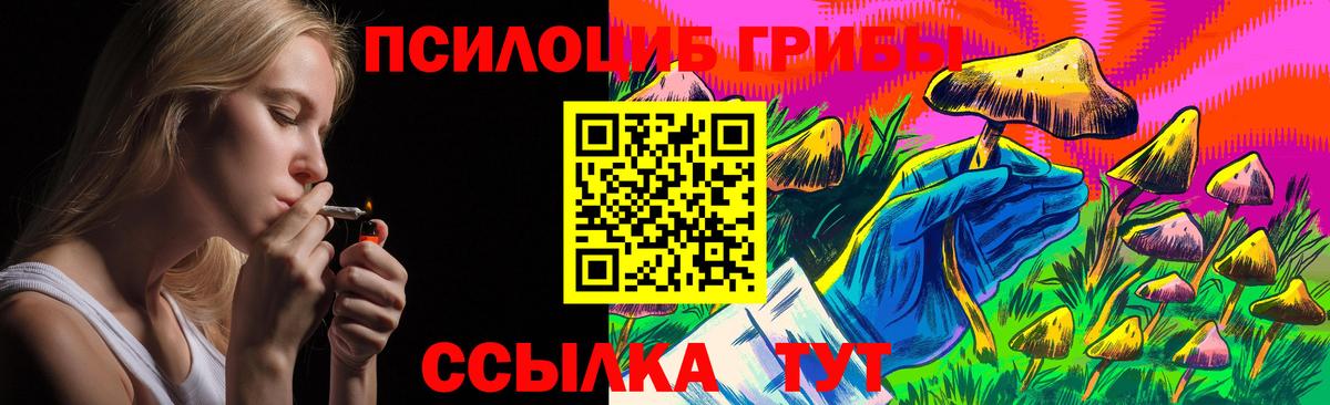 купить наркоту  Галлюциногенные грибы Magic Shrooms  Вход с VPN  Ишимбай 